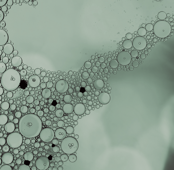 L’approche  SKINALYS®